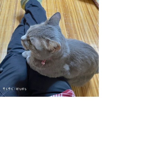 2EF7247F-2498-4AA0-B27E-C2D96AB86470.jpeg