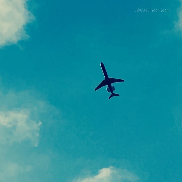 32D5B455-20FA-421A-BD27-D5AA59F95EF9.jpeg
