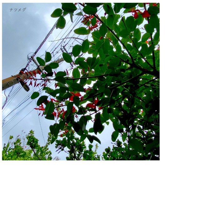 4CB19FEE-7075-45A6-918C-809D6B9DEAAB.jpeg