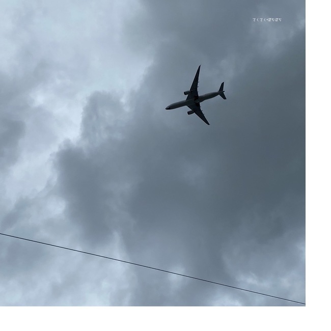 60608A09-D2CB-4B0A-950D-86FBD0311EF5.jpeg