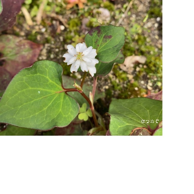 6E5A7AED-45D9-49BB-B70D-662619B53558.jpeg
