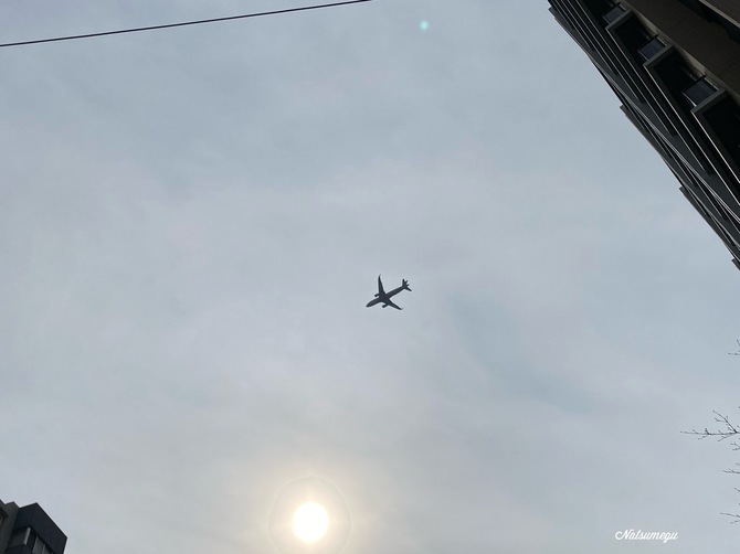 78A546BF-7130-4198-8482-6D5D2971EE28.jpeg