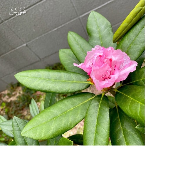 813BA5FD-49BC-4EE3-91C3-7388640019DA.jpeg