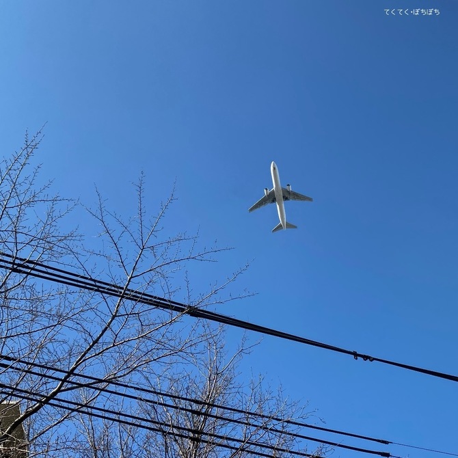 87CF5239-D90D-496B-AD0D-CAF402CEF0BE.jpeg