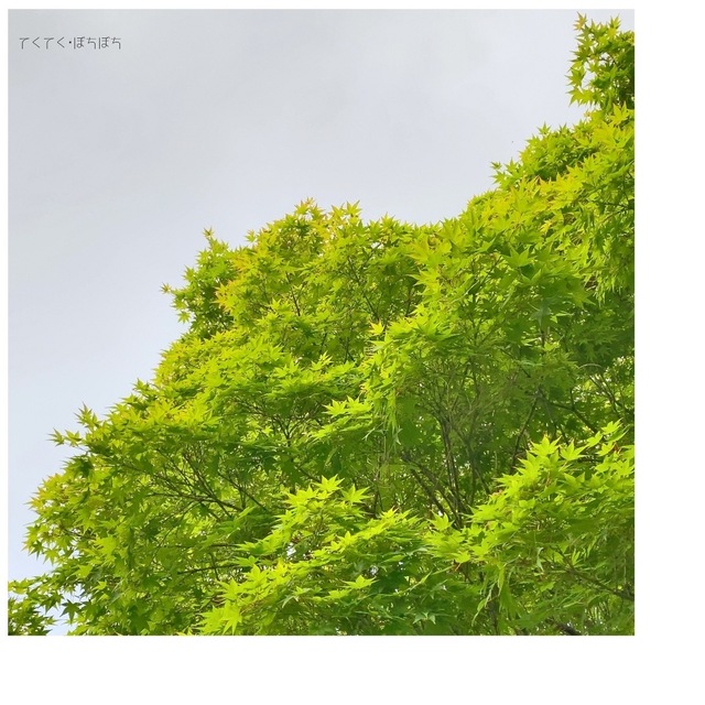 8823EF60-1330-4C8F-8917-75DB47827BAA.jpeg
