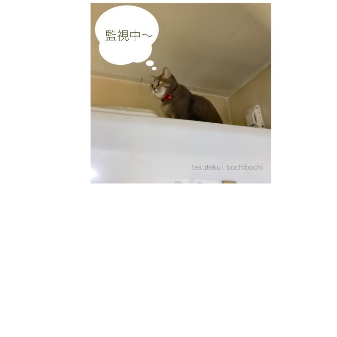 A90667F7-8330-4CB1-969C-4AA7ABDD6C49.jpeg