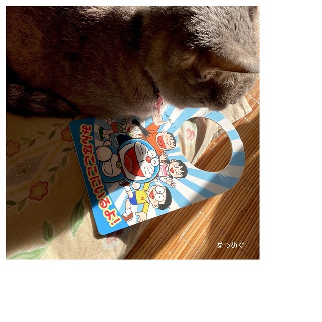 B0E411BF-A11E-4896-B903-5BF2FE780915.jpeg