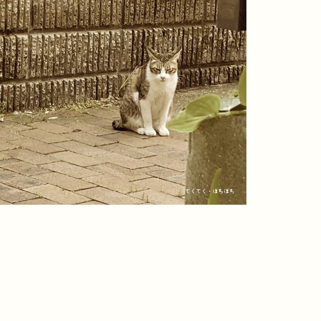 E29EED78-EF72-40ED-AB35-33220840FEF8.jpeg