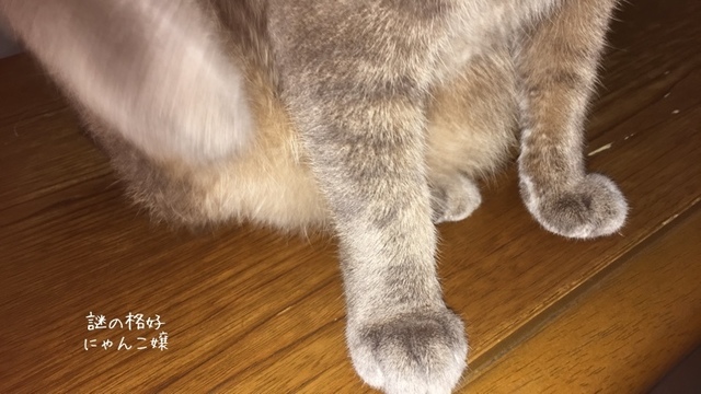 E4964EF9-D747-4E3A-9C8C-F541C8A4E518.jpeg