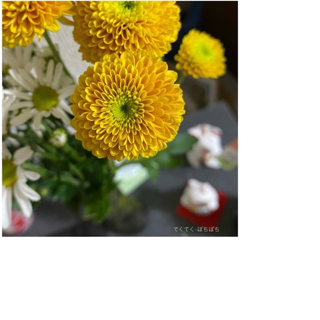 EA5F56B7-19A5-418B-8DD1-64AC115E6693.jpeg