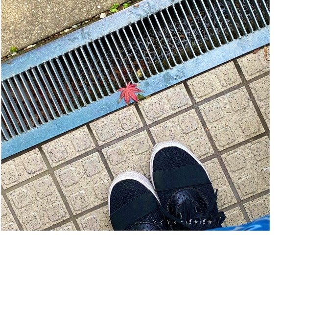 F1FBE6F1-2E1F-42A2-86CE-9D2675483C5C.jpeg