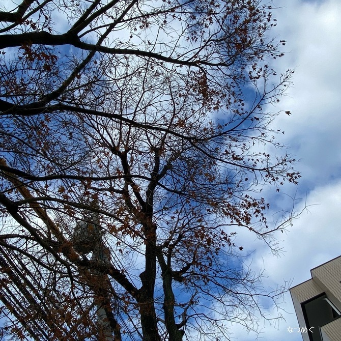 F2D7FE5B-C897-4763-AA4C-216FFA396BA2.jpeg