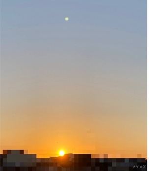 IMG_4655.jpeg