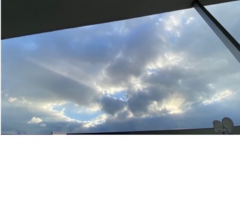 IMG_4861.jpeg