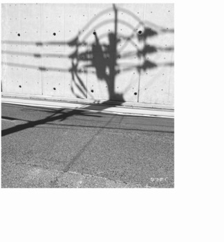 IMG_5331.jpeg