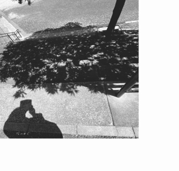 IMG_5335.jpeg