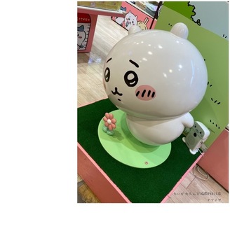 IMG_5682.jpeg