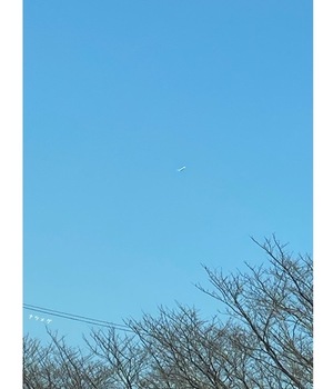 IMG_5862.jpeg