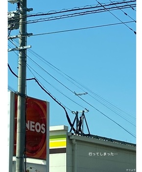 IMG_5864.jpeg