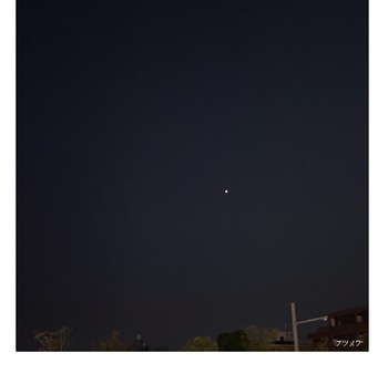 IMG_5869.jpeg