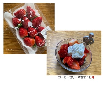 IMG_6204.jpeg