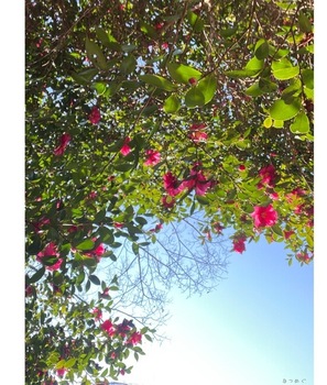 IMG_6343.jpeg