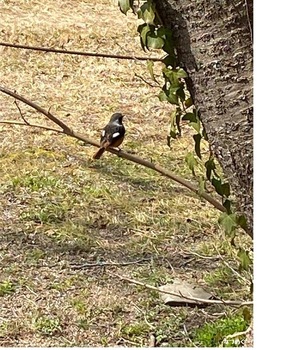 IMG_6523-816dd.jpeg