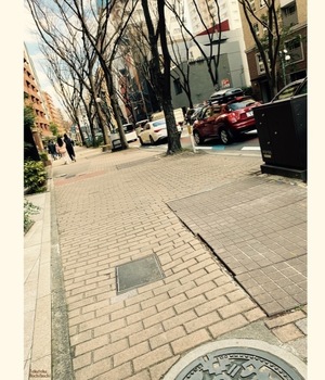 IMG_6607.jpeg